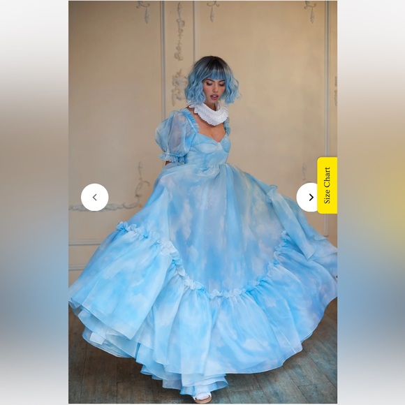 NWOT SELKIE Head in the Clouds Ritz Gown M/L Full Cup - Picture 5 of 5